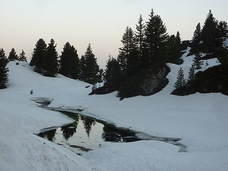 #4 Lac des Pourettes : La nature reprend ses droits Lac des Pourettes : La nature reprend ses droits