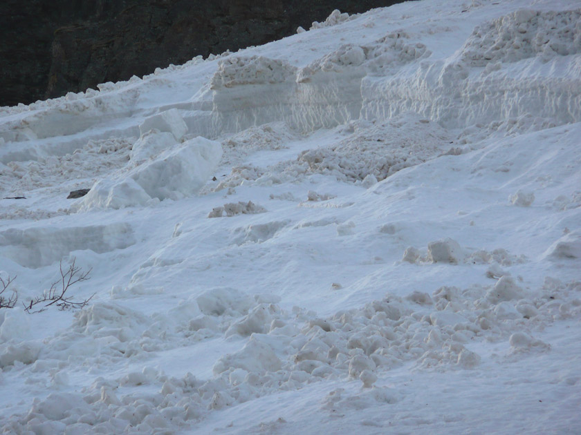 #1 Purges : Apocalypse snow Purges : Apocalypse snow