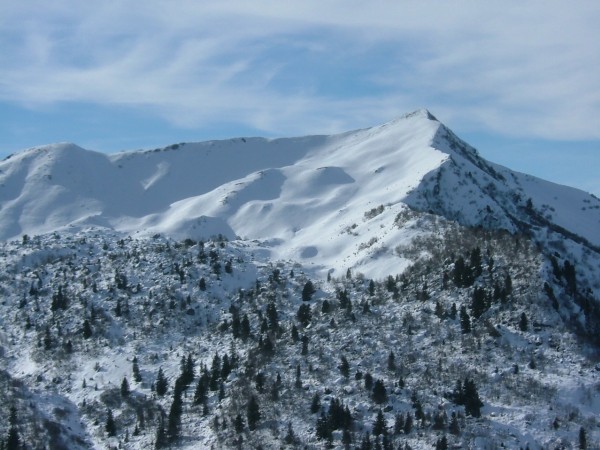 Montagne d' Arvillard face NE : Sympathique partie de poudre inespérée .