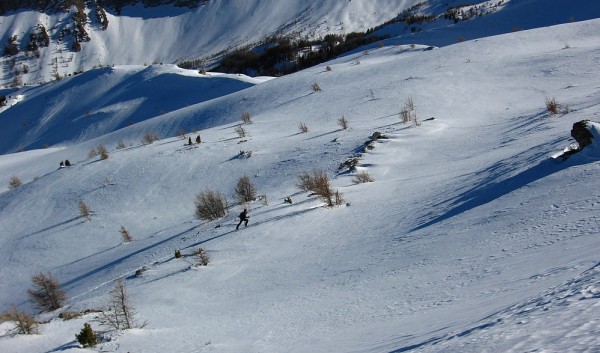 Orel : Eloi trace au dessus de la forêt.