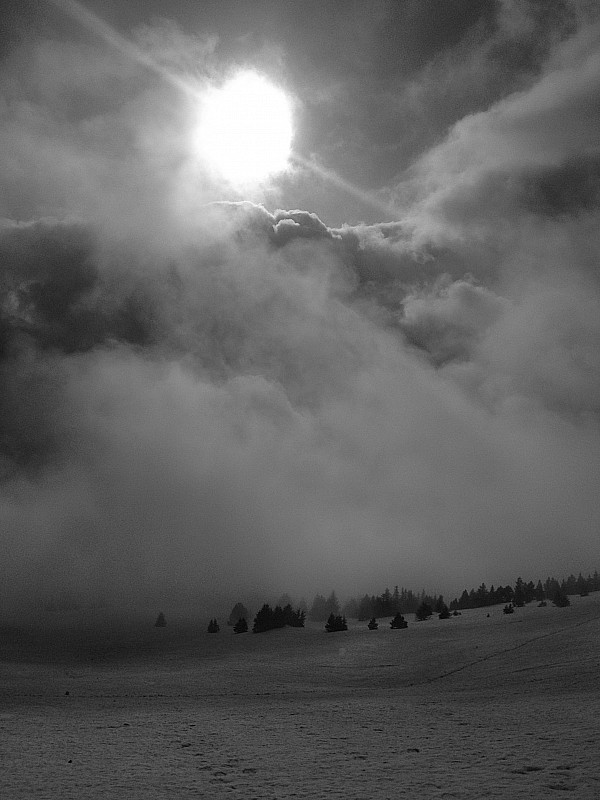 #2 cache cache !!! : le soleil enfin !!!! cache cache !!! : le soleil enfin !!!!
