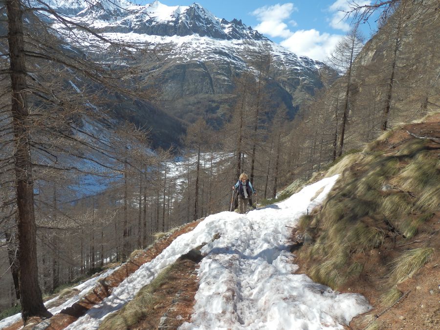#3 Montée dans les Mélèzes : Bien agréable Montée dans les Mélèzes : Bien agréable