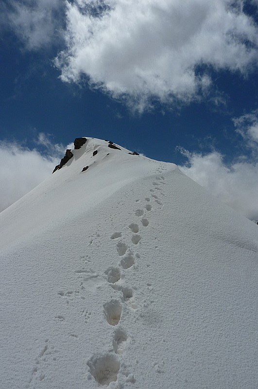 #5 Sanguineirette : Les 50 derniers mètres à pied (sans crampons avec piolet) Sanguineirette : Les 50 derniers mètres à pied (sans crampons avec piolet)