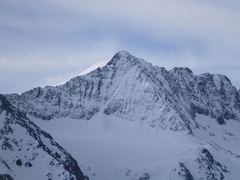 #12 L L'étendard et son écharpe : Majestueux et gavé de neige cette année;