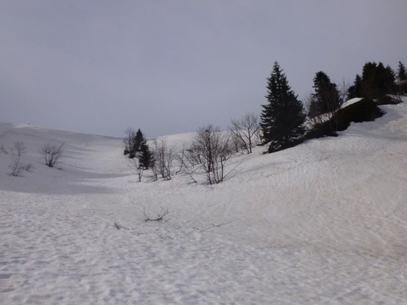 #1 GSom : Léchaud : cet hiver il a été meurtrier ... je ne m GSom : Léchaud : cet hiver il a été meurtrier ... je ne m'explique toujours pas ... il n'y a aucune trace de grosses coulées et la corniche est encore imposante.
