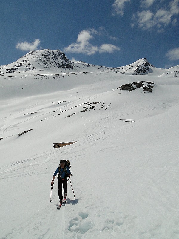 #20 Ötztal 2013 : Laurent dans la remontée sur Vernagt Hütte. Surtout, ne pas sortir de la trace de montée, sinon c Ötztal 2013 : Laurent dans la remontée sur Vernagt Hütte. Surtout, ne pas sortir de la trace de montée, sinon c'est un gros trou assuré...