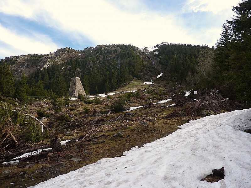 #2 déboisement : Avalanche ou bûcheron? déboisement : Avalanche ou bûcheron?