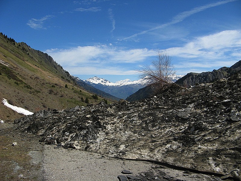 #14 Au dessus du Sappey d Au dessus du Sappey d'en haut : Avalanche de Lauze!
