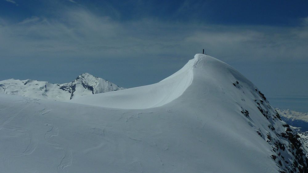 Summit : Un ane au sommet du Bec de Micha... euh non l'inverse !