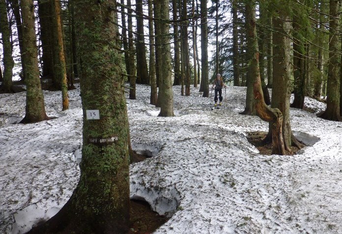 #4 foret : bien salle foret : bien salle