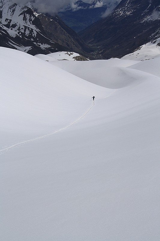 tout petit : dans le grand plat