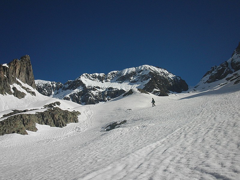 #2 chardon : sous le col chardon : sous le col