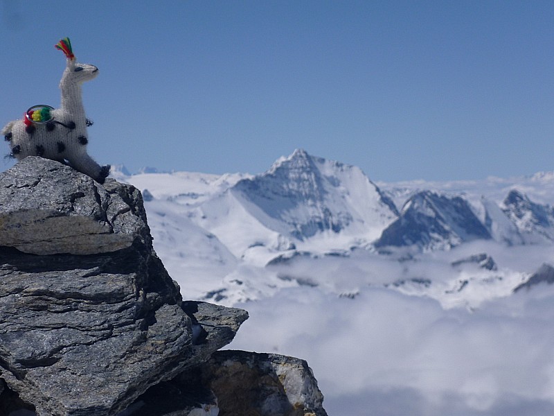 #14 summit! : la plus belle du jour: la face N de la Grande casse, on ne s summit! : la plus belle du jour: la face N de la Grande casse, on ne s'en lasse pas de la contempler