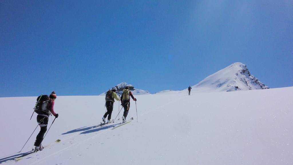 #12 sommet : sur le glacier sommet : sur le glacier