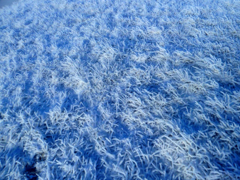 #4 givré : effet du givre givré : effet du givre