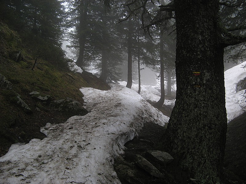 #4 Bande de neige : Cela sent la fin de saison! Passage vers 1750m, bande de neige qui diminue comme une peau de chagrin! C Bande de neige : Cela sent la fin de saison! Passage vers 1750m, bande de neige qui diminue comme une peau de chagrin! C'est vrai quand est déjà en mois de mai! Si vous voulez faire ce itinéraire, il va falloir faire vite!