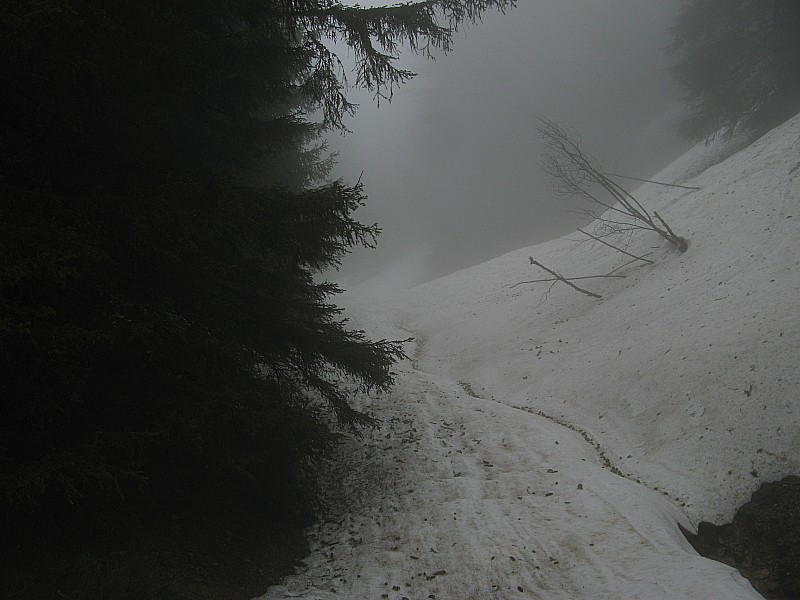 #8 Descente vallon vers 1700m : Descente juste avant de rejoindre la piste de Casserousse sur le début du sentier du lac des Pirouettes, c Descente vallon vers 1700m : Descente juste avant de rejoindre la piste de Casserousse sur le début du sentier du lac des Pirouettes, c'est encore praticable!