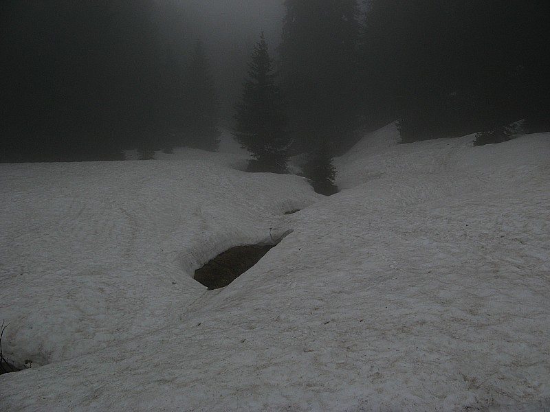 #3 Montée vers 1700m : Clairière avant d Montée vers 1700m : Clairière avant d'attaquer la montée raide en forêt