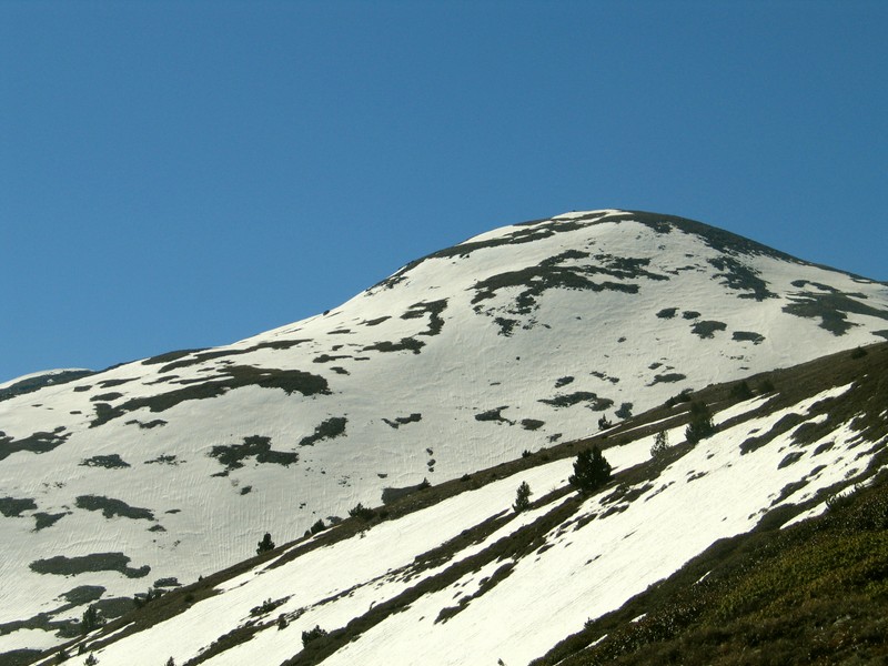 #2 Puigmal de Llo : la neige se fait rare . Puigmal de Llo : la neige se fait rare .