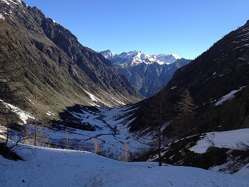 #10 Le vallon a été : ravagé par les avalanches et coulées . Le vallon a été : ravagé par les avalanches et coulées .
