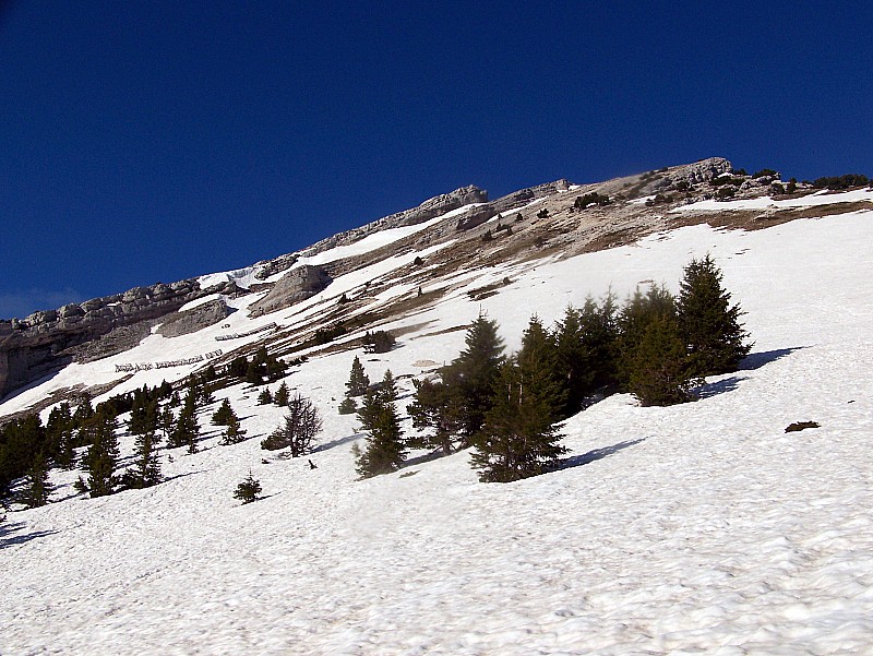 Chamechaude : Le sommet en vue, on repère les langue de neige pour la descente