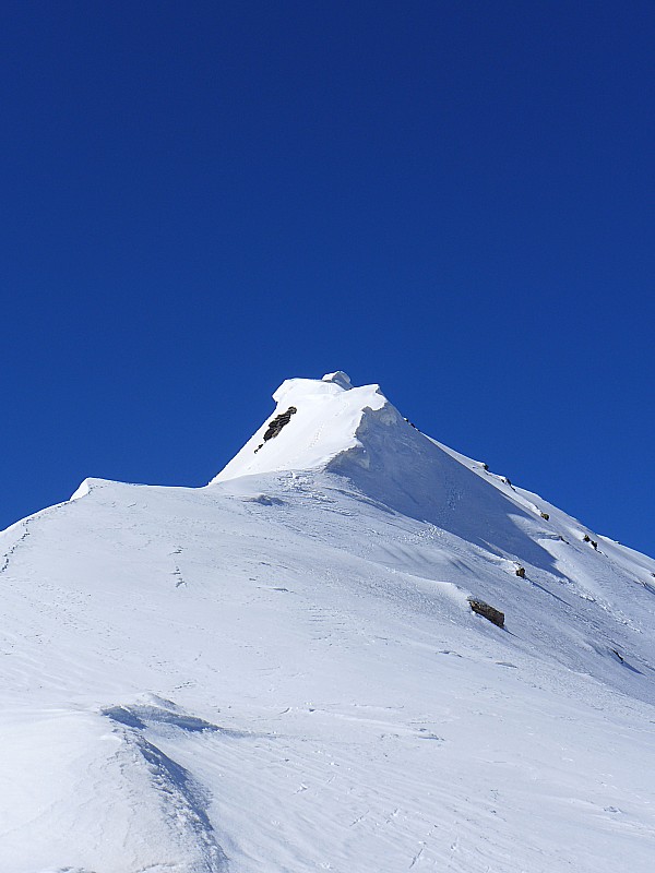 #2 L L'arête sommitale : vu l'enneigement, il est possible de monter par les pentes NW (mais attention neige dure, avec un grip médiocre).