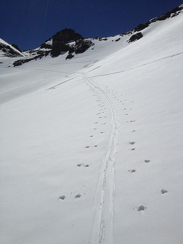 #3 trace de montée : direction le col des lessines trace de montée : direction le col des lessines