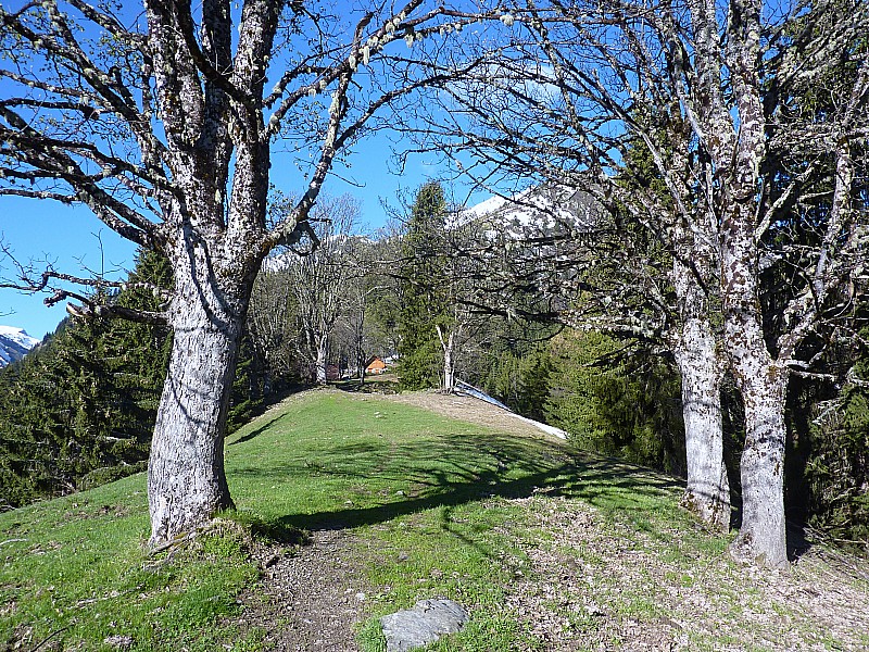 #5 Mont Rond d Mont Rond d'en haut : Très sympa l'endroit!