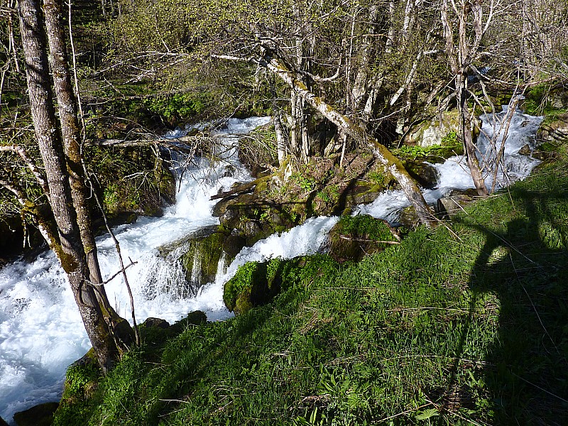 #1 Torrent du Tépey : Bon pour la neige ça ne va pas être pour tout de suite! Torrent du Tépey : Bon pour la neige ça ne va pas être pour tout de suite!