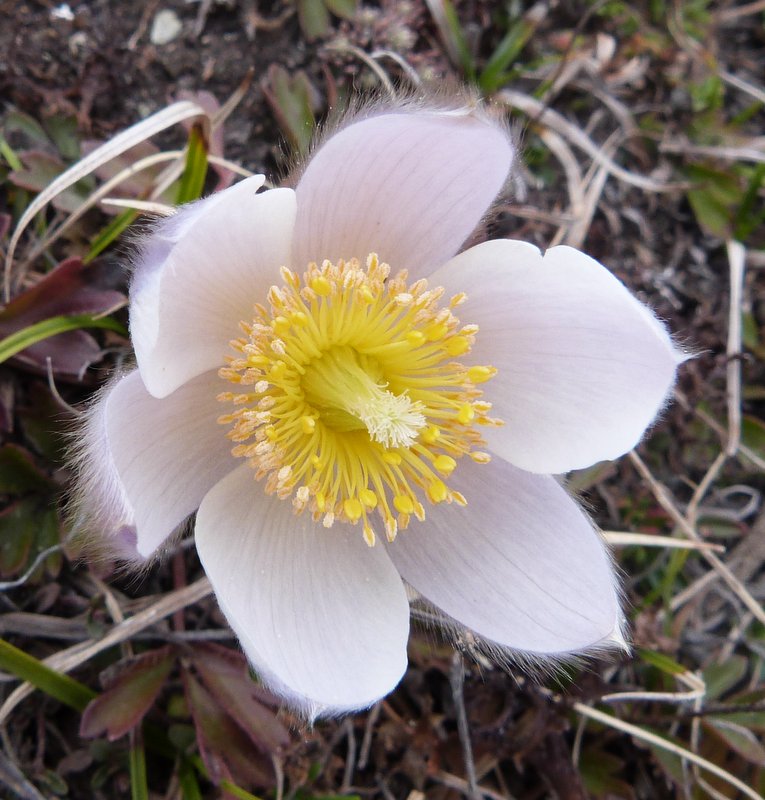 #9 C C'est le printemps! : Enfin!