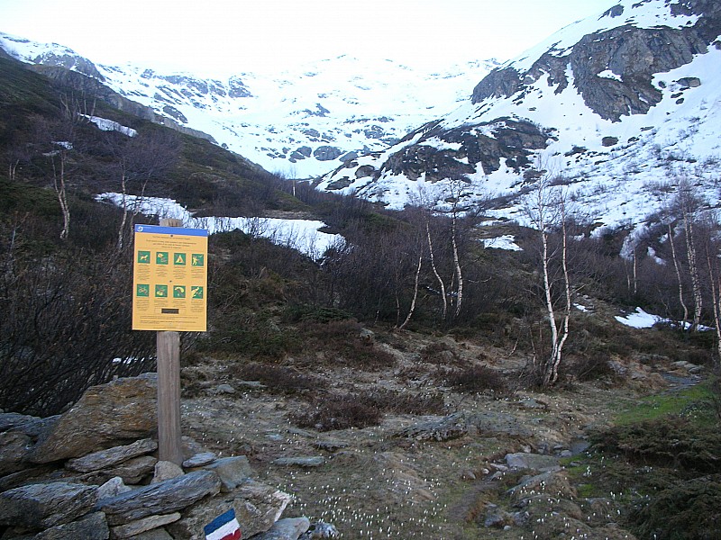 #5 Valon du Génépy : Montée par le chemin d Valon du Génépy : Montée par le chemin d' été, on devine la limite de chaussage vers 2300