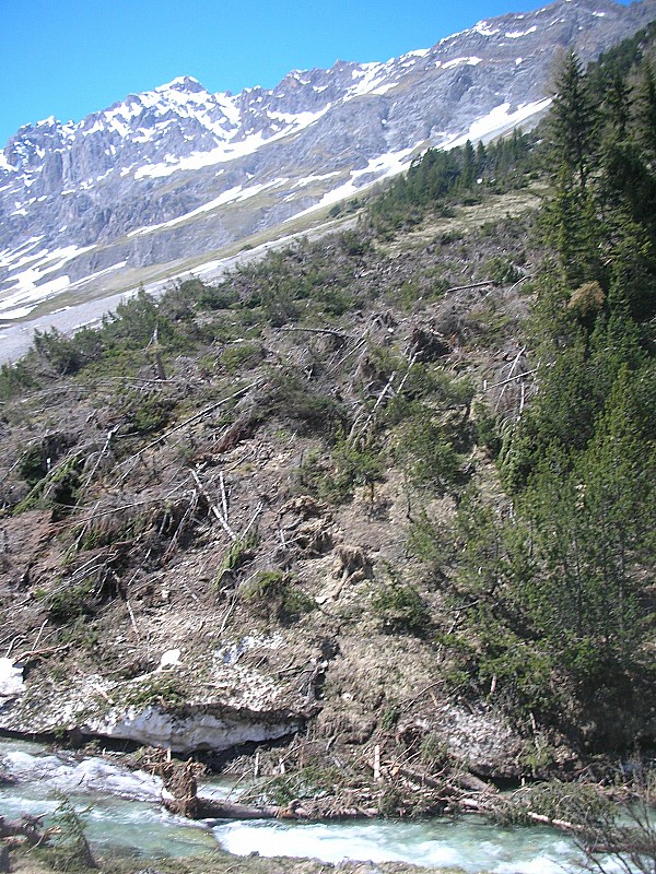 #21 Coulée : Les ravages des avalanches des Prioux: impressionnant ! Coulée : Les ravages des avalanches des Prioux: impressionnant !