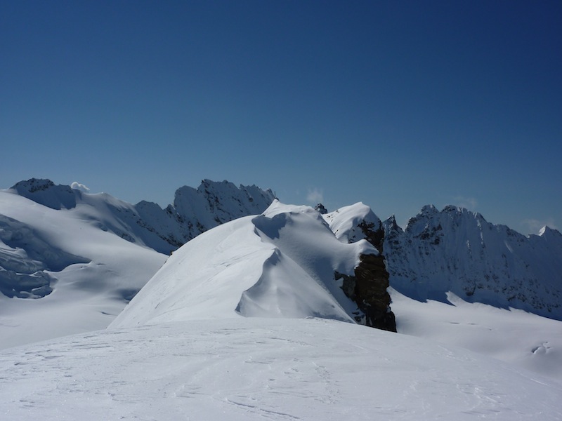 Tête de Valpelline : Sommet