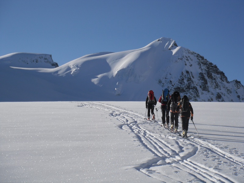 #10 glacier du Mont Miné : en marche pour la Tête Blanche à gauche glacier du Mont Miné : en marche pour la Tête Blanche à gauche