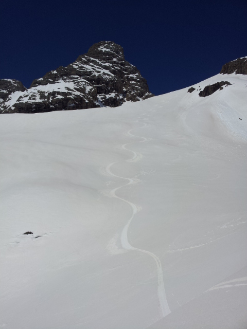 #5 Chat : Moquette sur le feu glacier des Aiguilles d Chat : Moquette sur le feu glacier des Aiguilles d'Arves