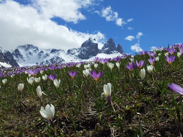 #15 Les aiguilles : encore une Les aiguilles : encore une