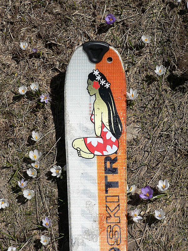 #2 Ski de rando Polynésien... : Fleur de tiare vs crocus de recoin Ski de rando Polynésien... : Fleur de tiare vs crocus de recoin