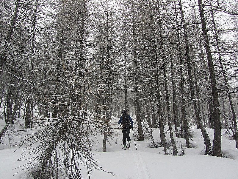 #3 Bonette : Je confirme c Bonette : Je confirme c'est bien l'hiver