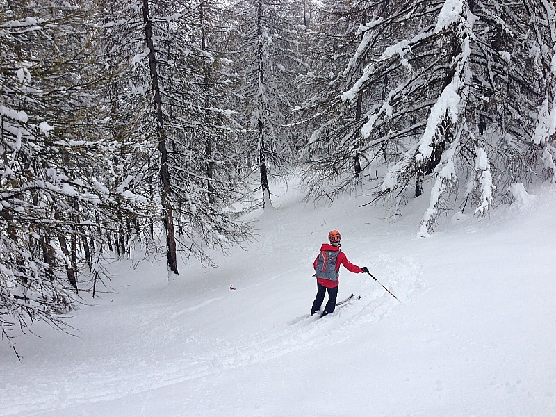#20 descente dans la forêt descente dans la forêt