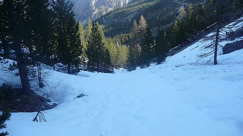 #3 Col des Portes : Montée dans le bois, encore beaucoup de neige Col des Portes : Montée dans le bois, encore beaucoup de neige