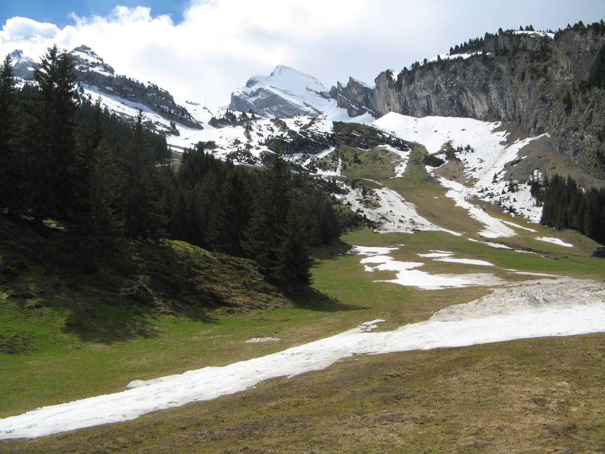 #11 Combe de la Balme : en haut ça donne ça ... Combe de la Balme : en haut ça donne ça ...
