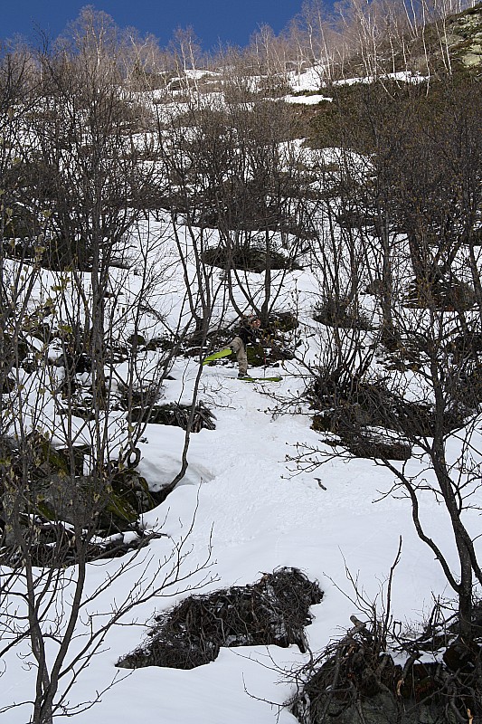 #4 Gymkhana : un splitboarder se cache dans cette forêt d Gymkhana : un splitboarder se cache dans cette forêt d'arcosses, sauras-tu le retrouver ?