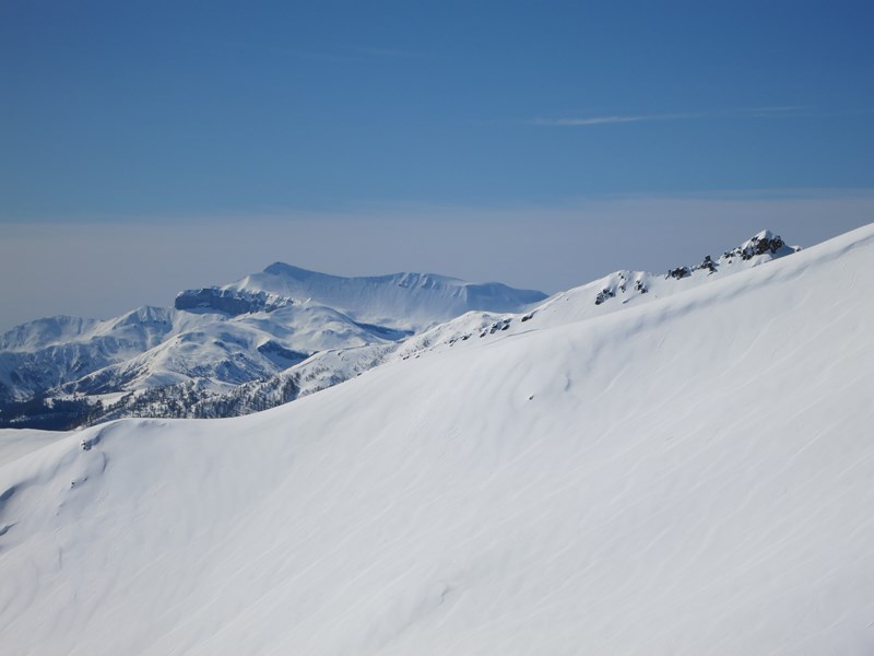 #2 Le Mounier : Les coulées en face Nord du Mounier sont impressionnantes. Le Mounier : Les coulées en face Nord du Mounier sont impressionnantes.