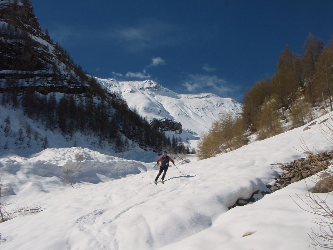 #7 meilleur ski sur le bas! meilleur ski sur le bas!