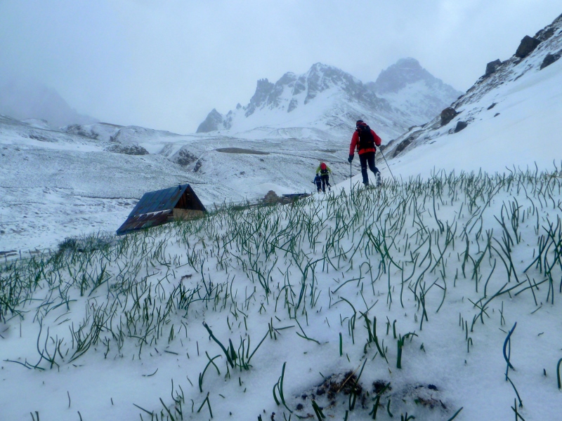 #1 vert de neige : ski sur herbe vert de neige : ski sur herbe