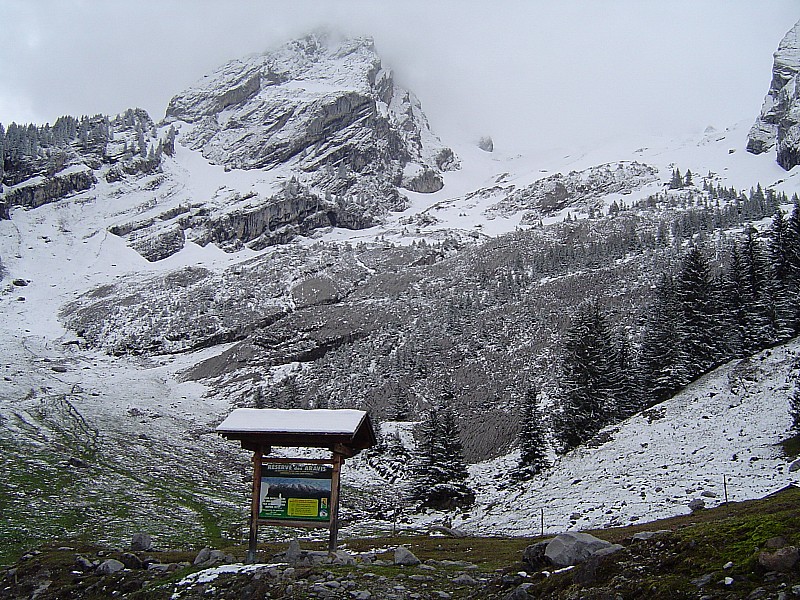 #1 Bas de la Combe... : Couleurs inhabituelles... Bas de la Combe... : Couleurs inhabituelles...