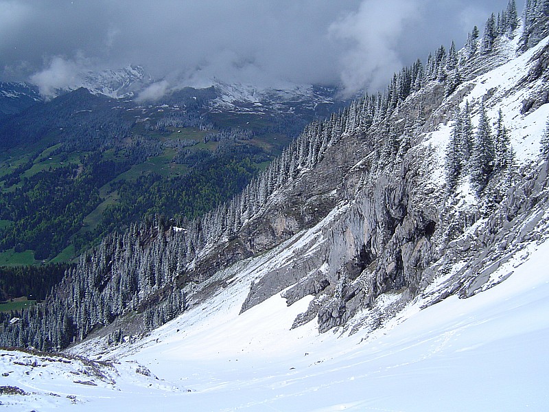 #4 Neige fraîche... : sur la Combe... Neige fraîche... : sur la Combe...