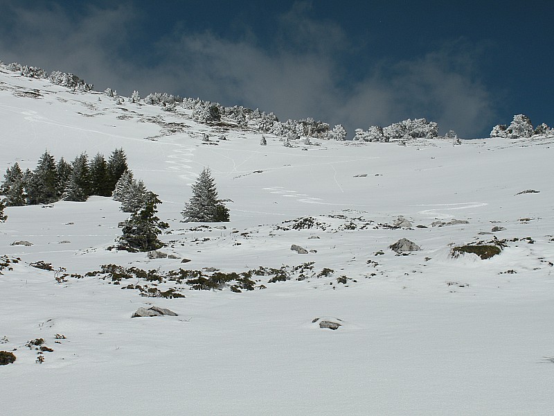 #6 Traces sur le haut : Ca tournait vraiment bien ! Traces sur le haut : Ca tournait vraiment bien !