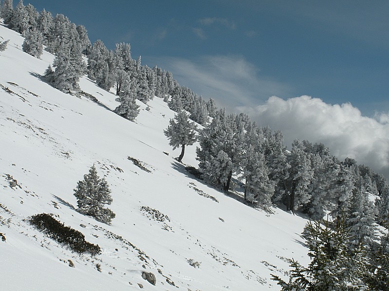 #7 Ambiance générale : Sauf les cailloux, on dirait l Ambiance générale : Sauf les cailloux, on dirait l'hiver
