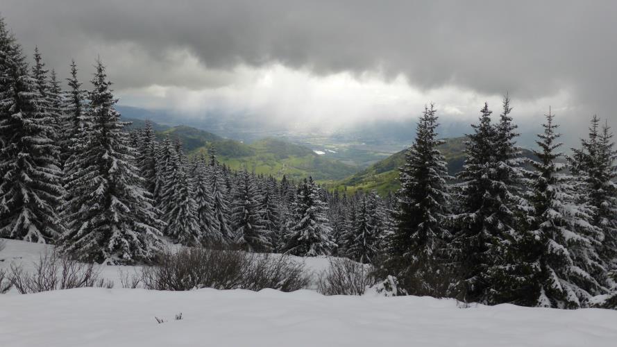 #9 Theys : C Theys : C'est de nouveau vert après le blanc du matin